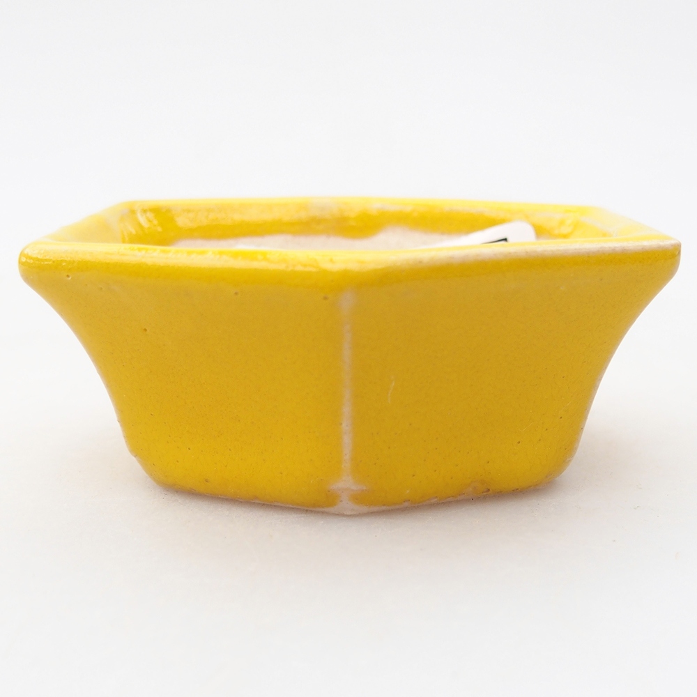 Mini bonsai bowl 6 x 5,5 x 2,5 cm, yellow