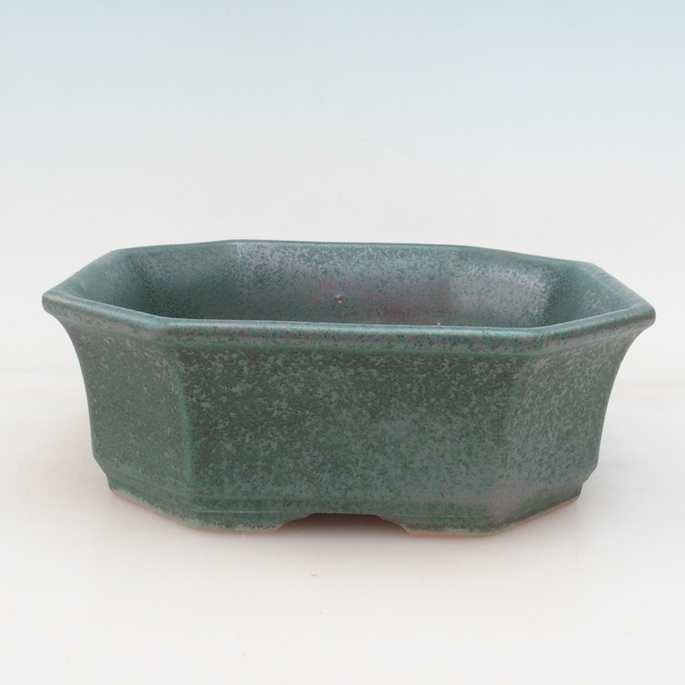 Bonsai bowl + bowl H14 - green