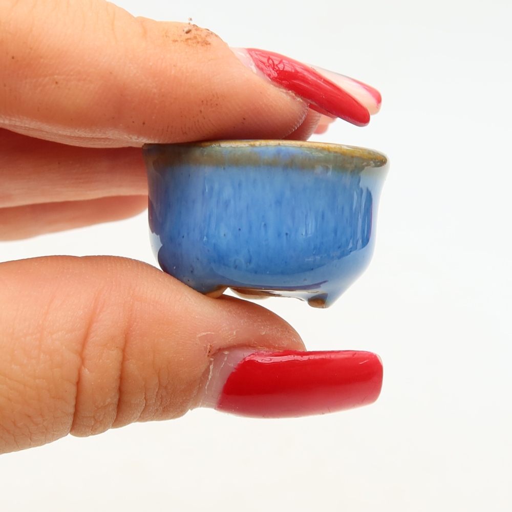 Ceramic bonsai pot, 2.5 x 2.5 x 2 cm, blue