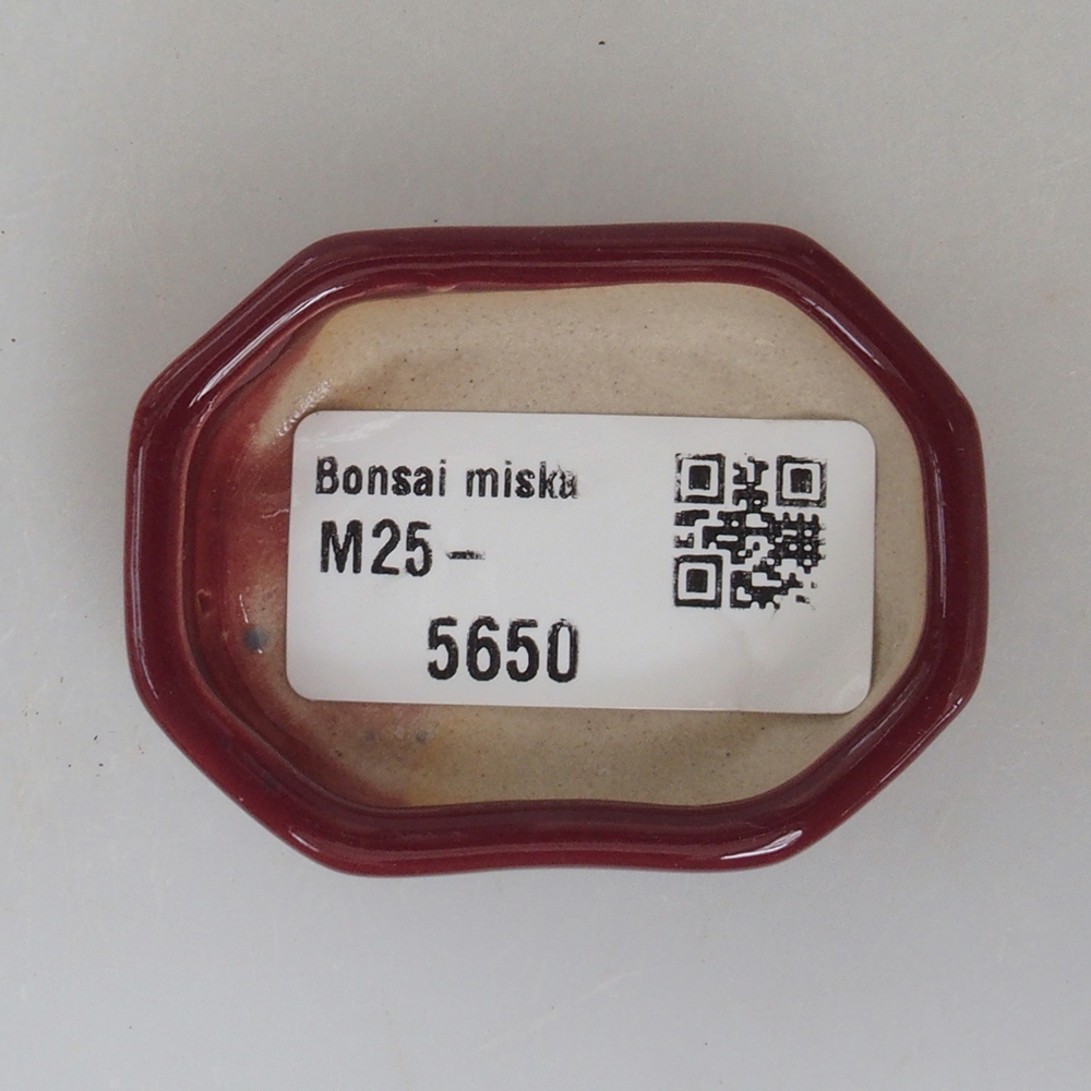 Mini bonsai bowl 5,5 x 4 x 1,5 cm, color burgundy