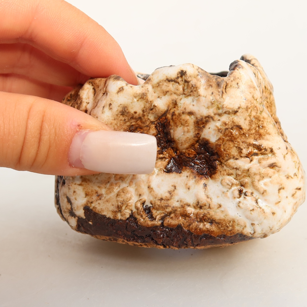 Ceramic Shell, 7 x 7 x 6 cm, white-brown