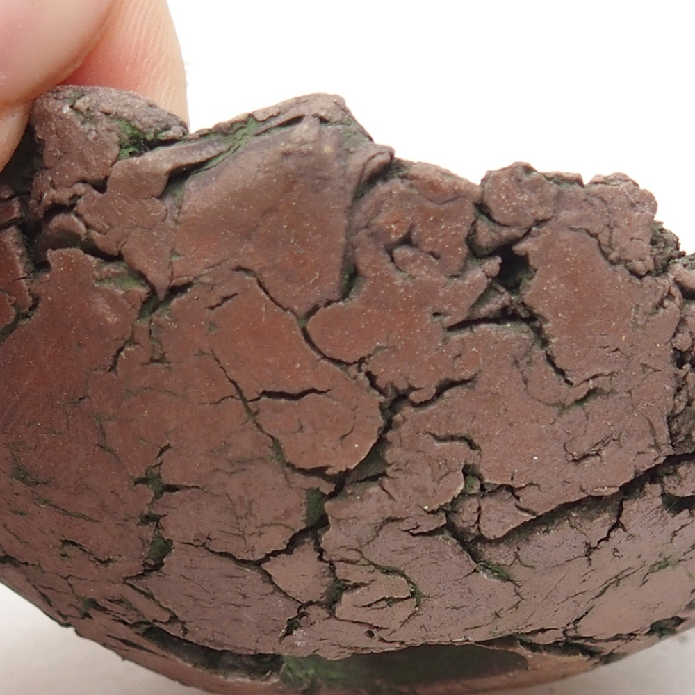 Ceramic Shell 7 x 6,5 x 4 cm , colour green