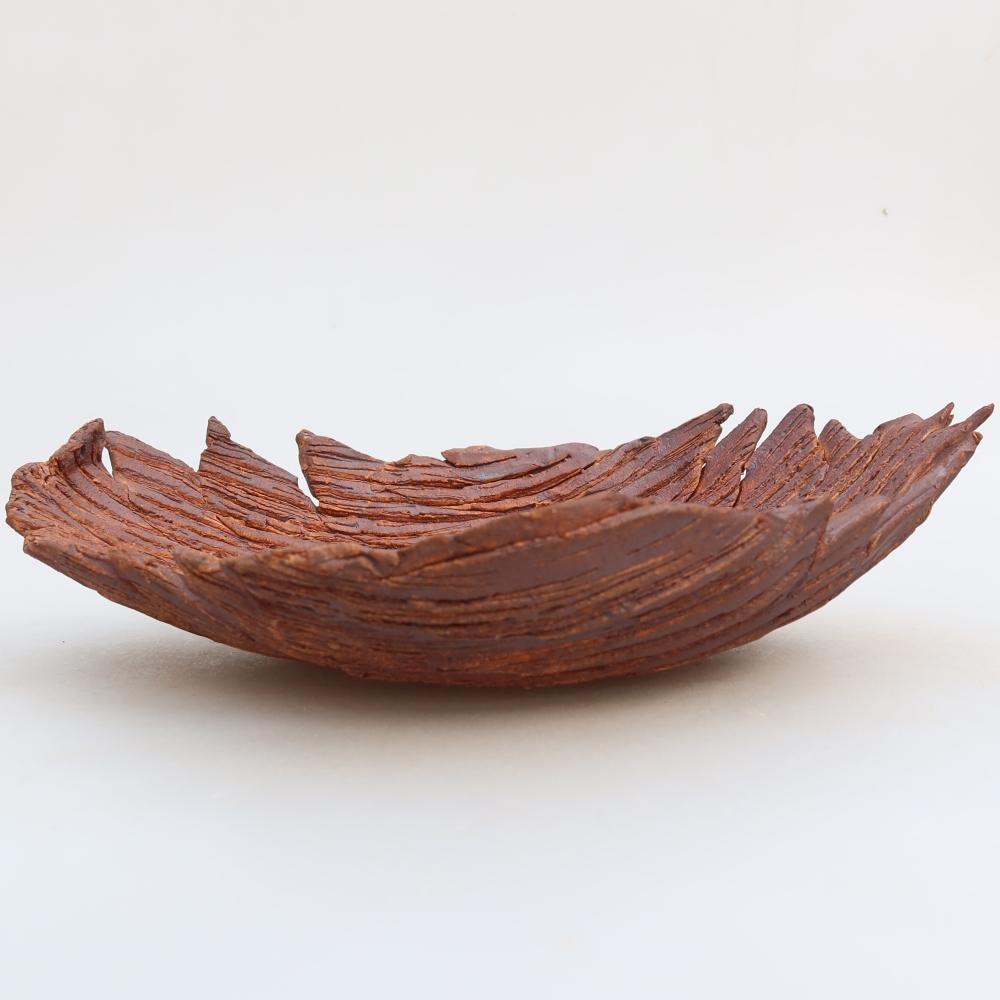 Ceramic Shell  24 x 17 x 6.5 cm, brown