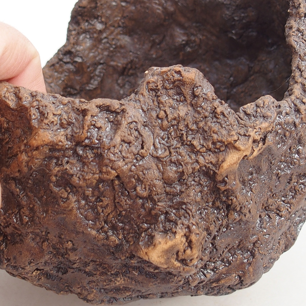 Ceramic shell 19 x 15 x 14 cm , colour brown