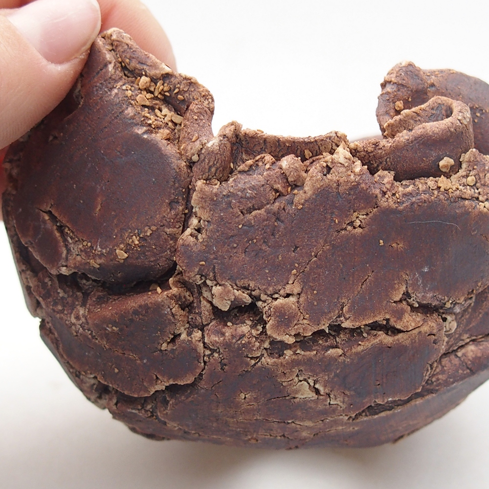 Ceramic Shell 9 x 8,5 x 6,5 cm , colour brown