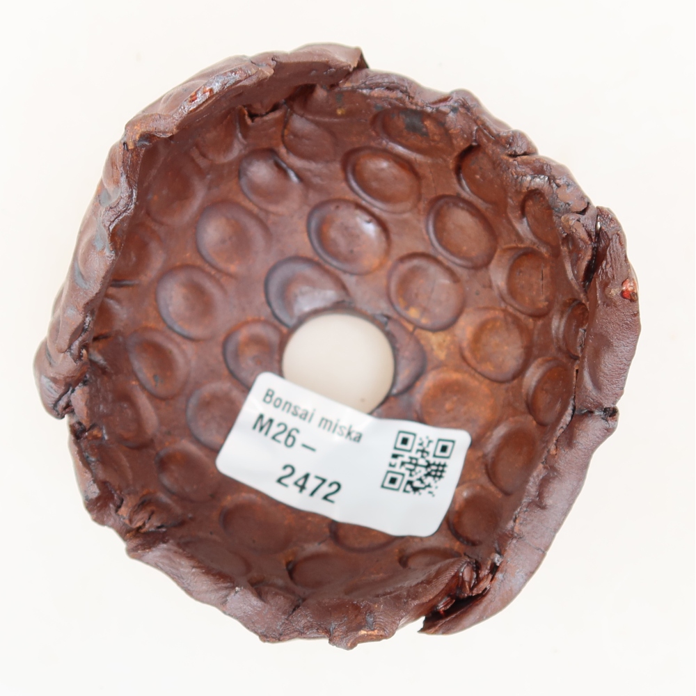 Ceramic Shell, 8.5 x 8 x 6.5 cm, metallic color