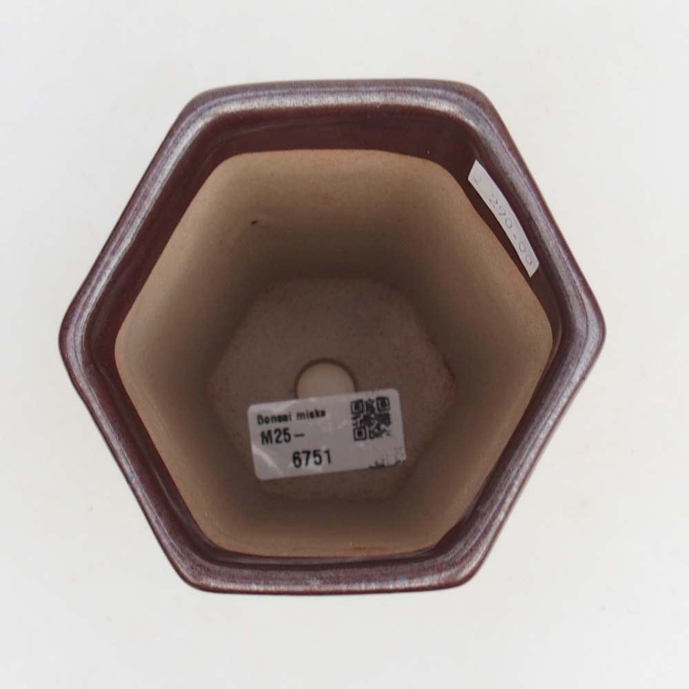Ceramic bonsai bowl 10 x 8,5 x 14,5 cm, burgundy