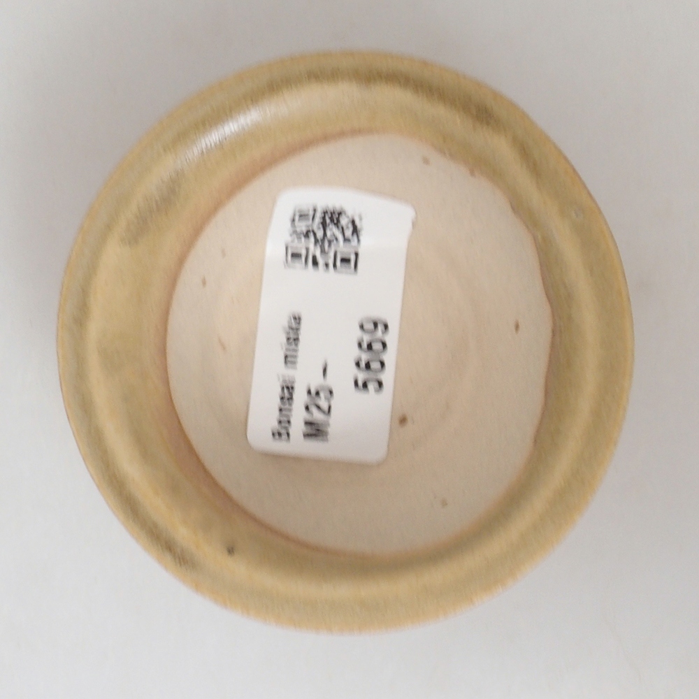 Mini bonsai bowl 7 x 7 x 2,5 cm, color brown