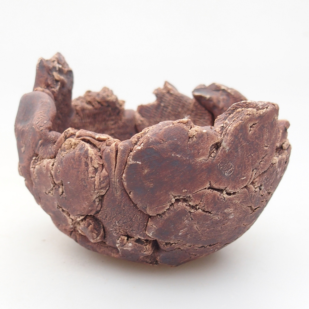 Ceramic Shell 9,5 x 9 x 7 cm , colour brown