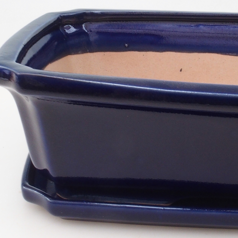 Bonsai pot + saucer H07 - 30 x 20.5 x 8 cm. - blue