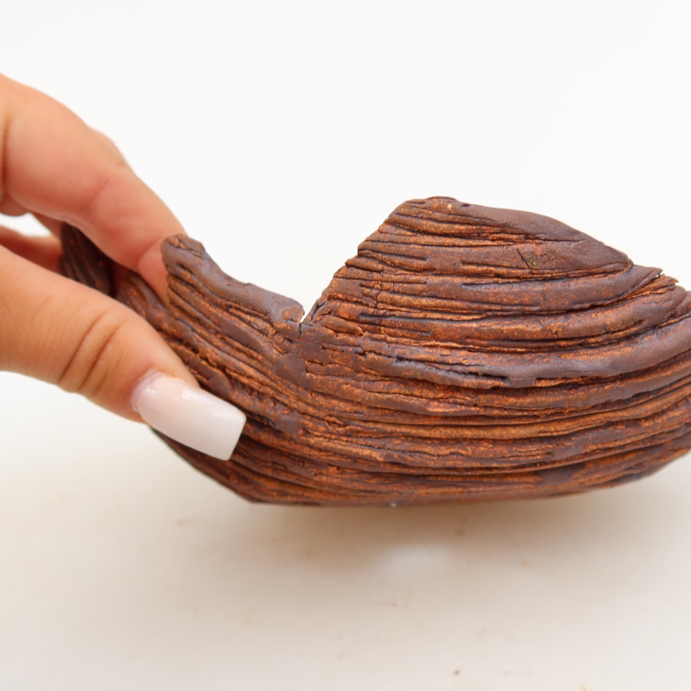 Ceramic Shell  19 x 14 x 7 cm, brown