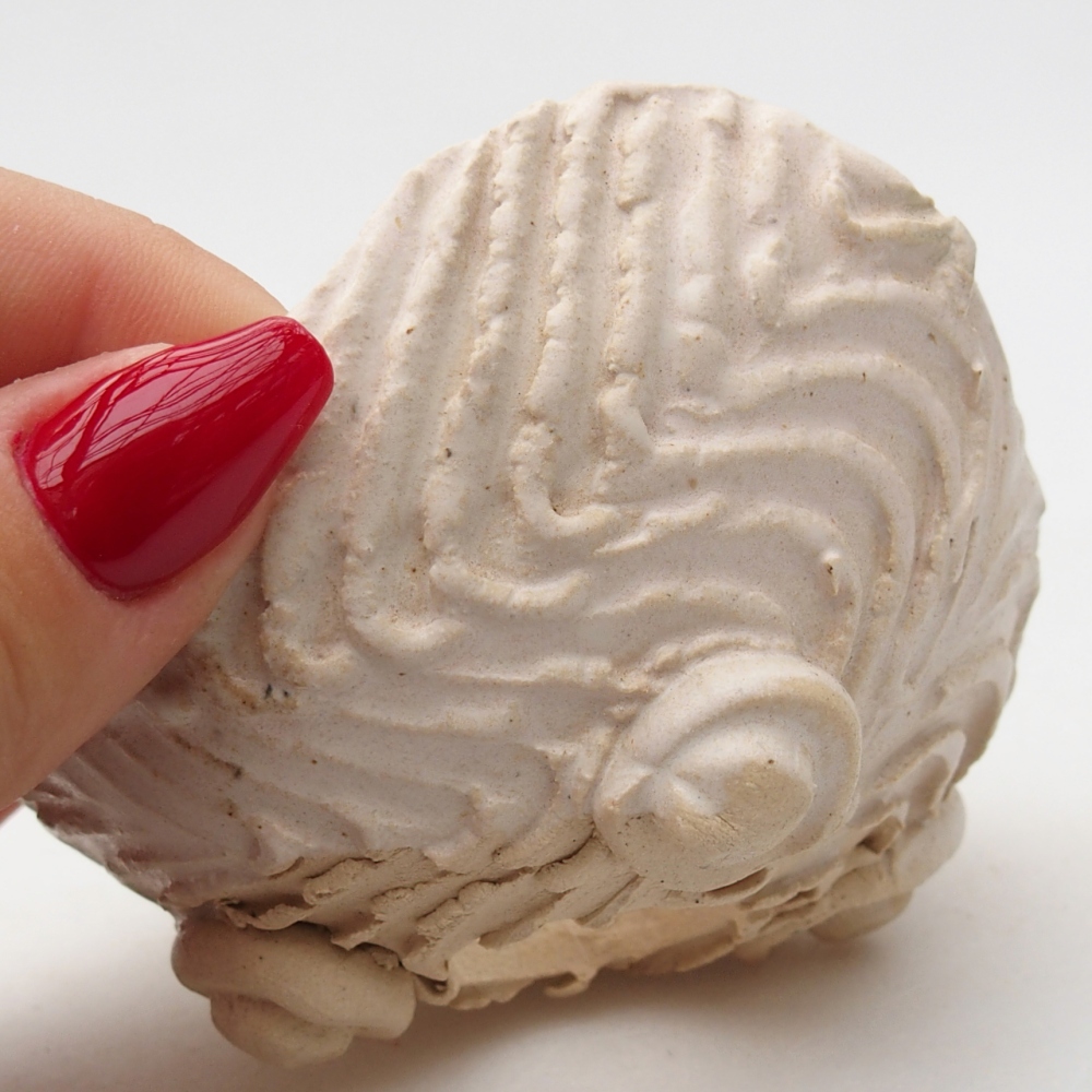 Ceramic Shell 8,5 x 8 x 5 cm , colour beige