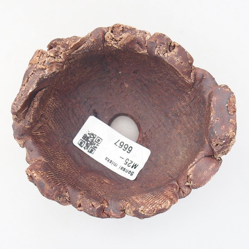 Ceramic Shell 9 x 9 x 6 cm , colour brown