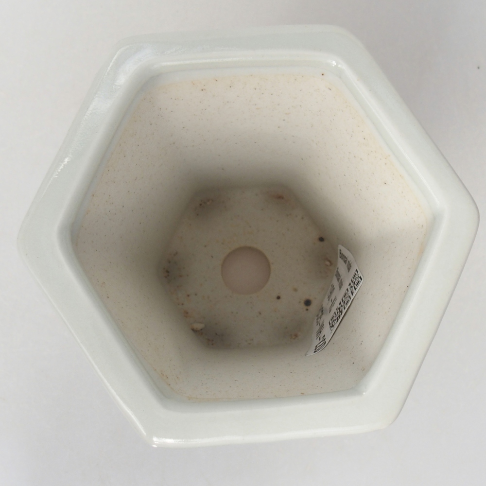 Ceramic bonsai bowl 10 x 9 x 9 cm, colour white