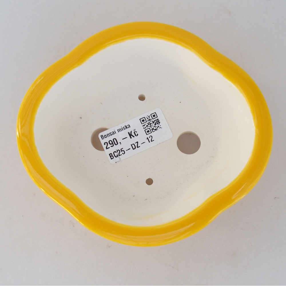 Ceramic bonsai bowl 13 x 12 x 5 cm, yellow