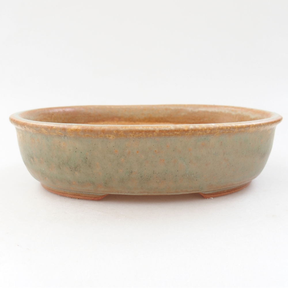 Ceramic bonsai bowl 19 x 15 x 5 cm, color green