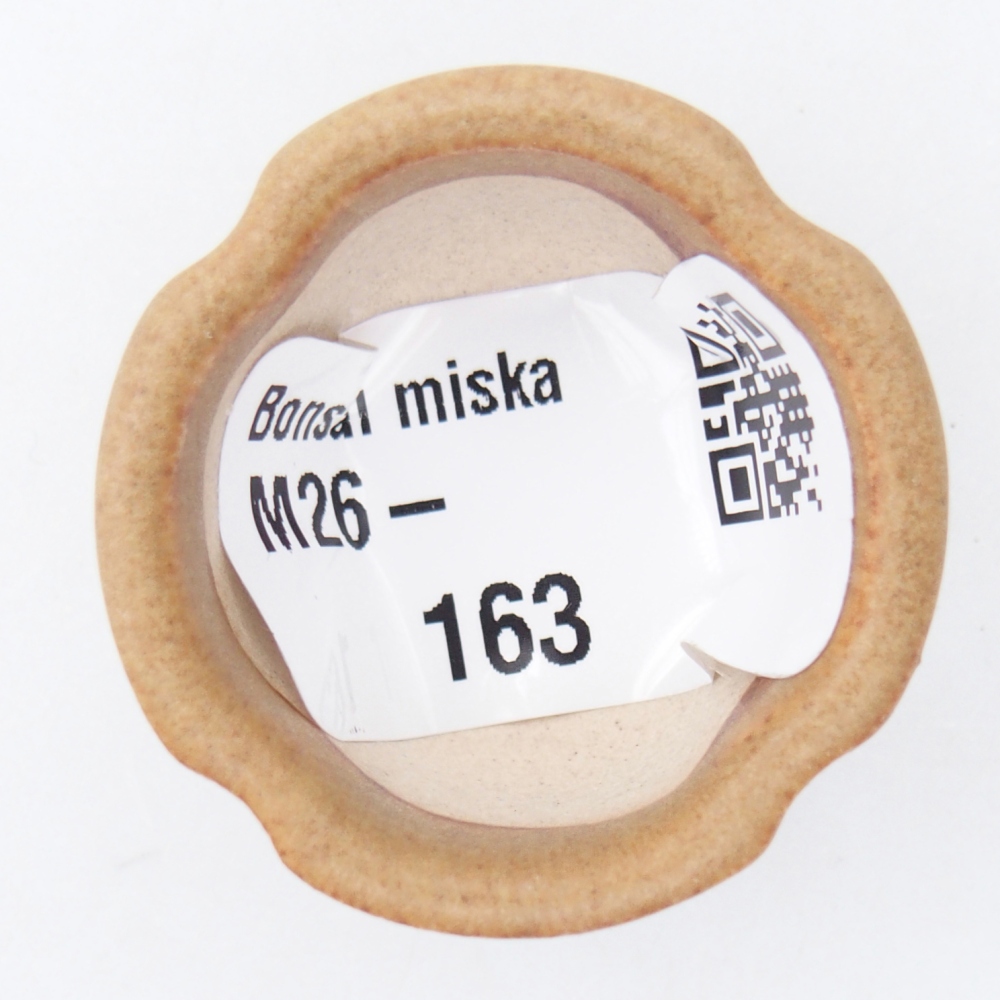 Mini bonsai bowl 3,5 x 3,5 x 2,5 cm, brown