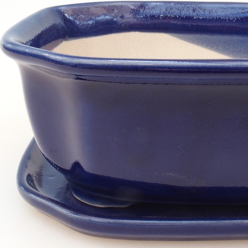 Bonsai bowl + saucer H32 - blue