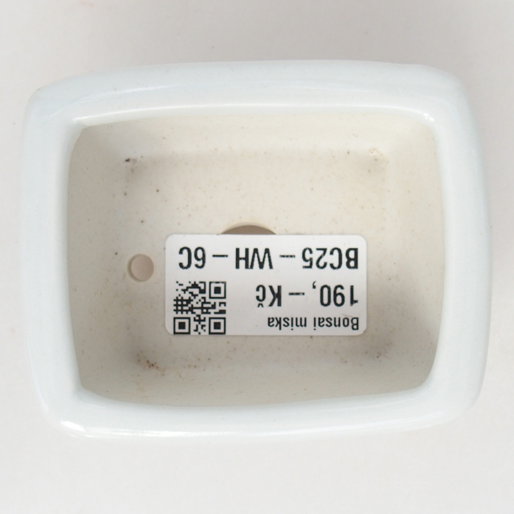 Mini bonsai bowl 8 x 6,5 x 3,5 cm, white