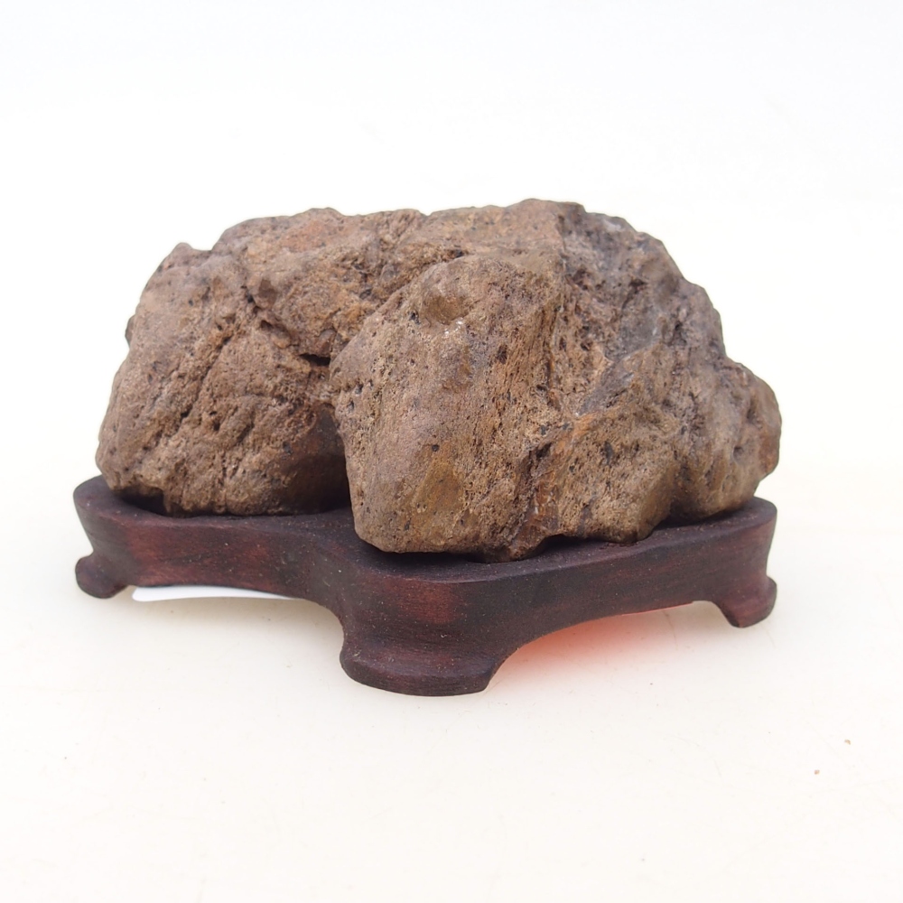 Suiseki - Stone with DAI (wooden pad)