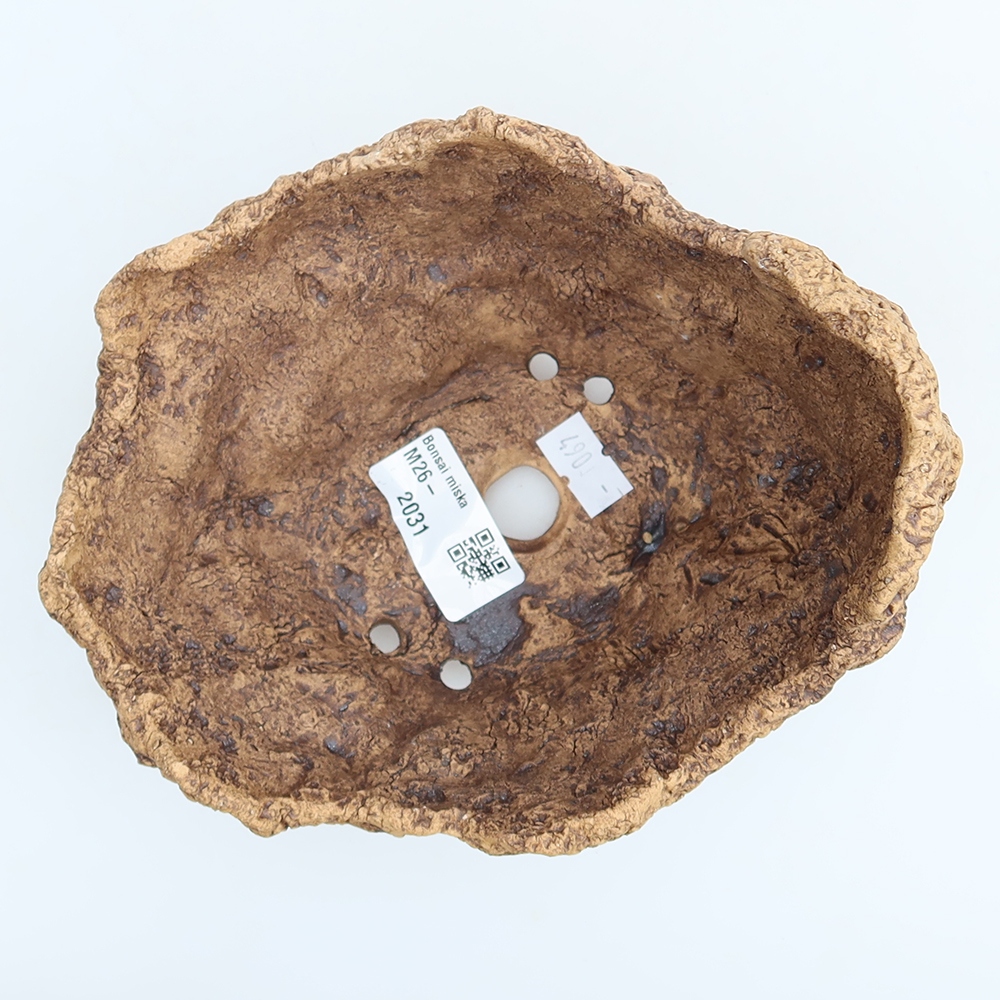 Ceramic Shell, 15 x 13 x 12.5 cm, brown