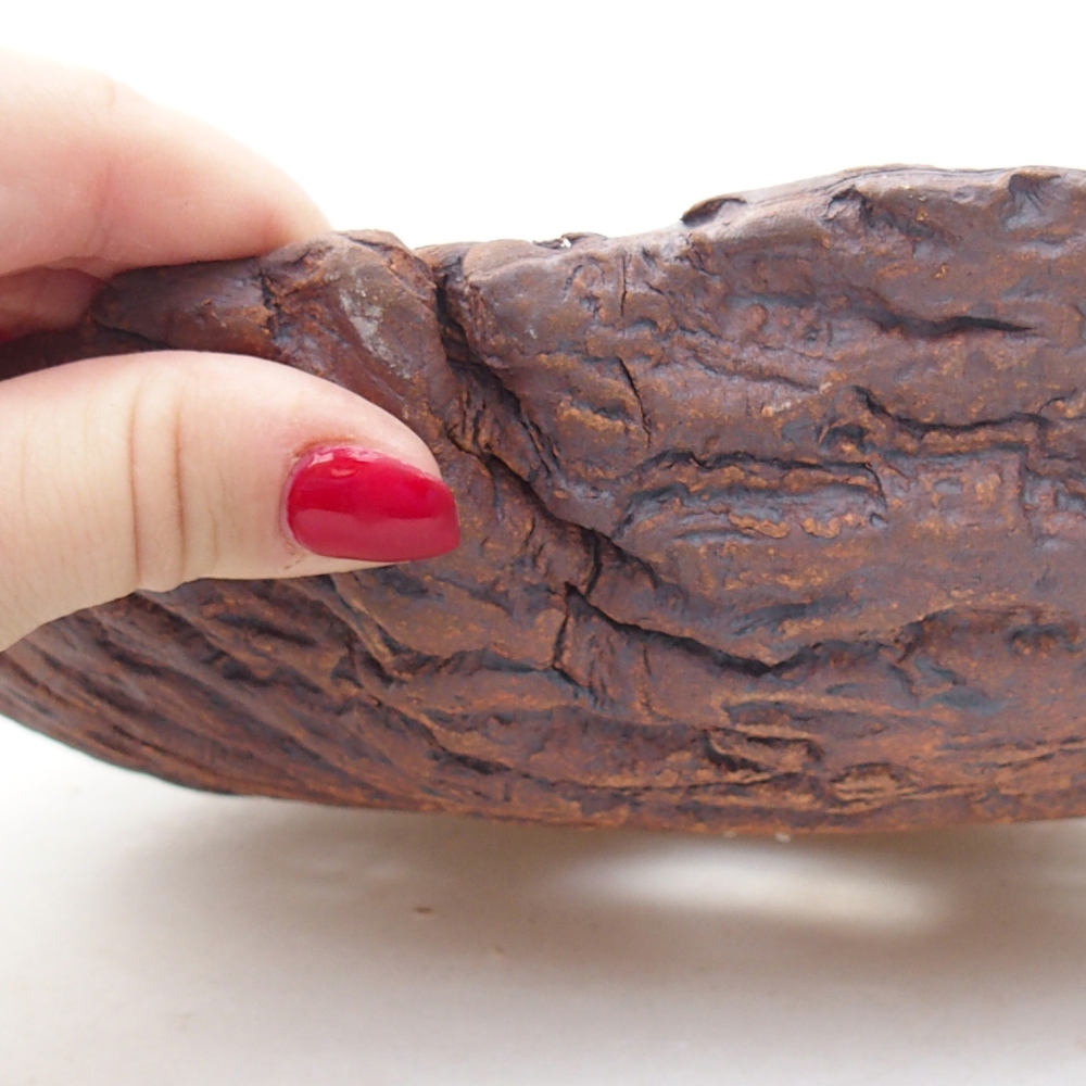 Ceramic shell 28 x 21 x 9 cm , colour brown