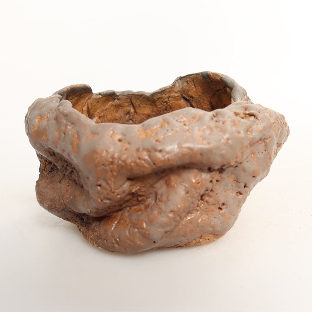 Ceramic Shell  8 x 7.5 x 4.5 cm, green