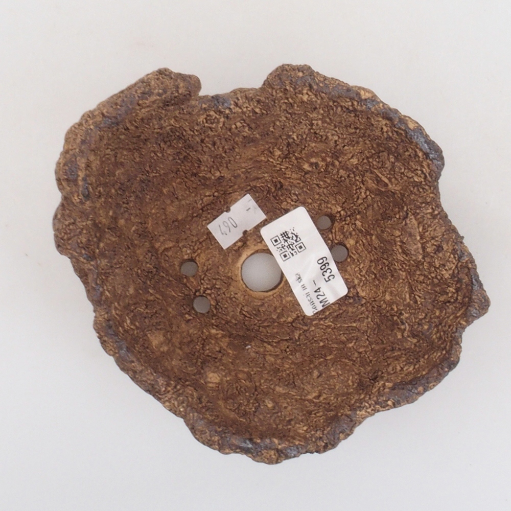 Ceramic shell 13 x 12 x 12 cm, brown color