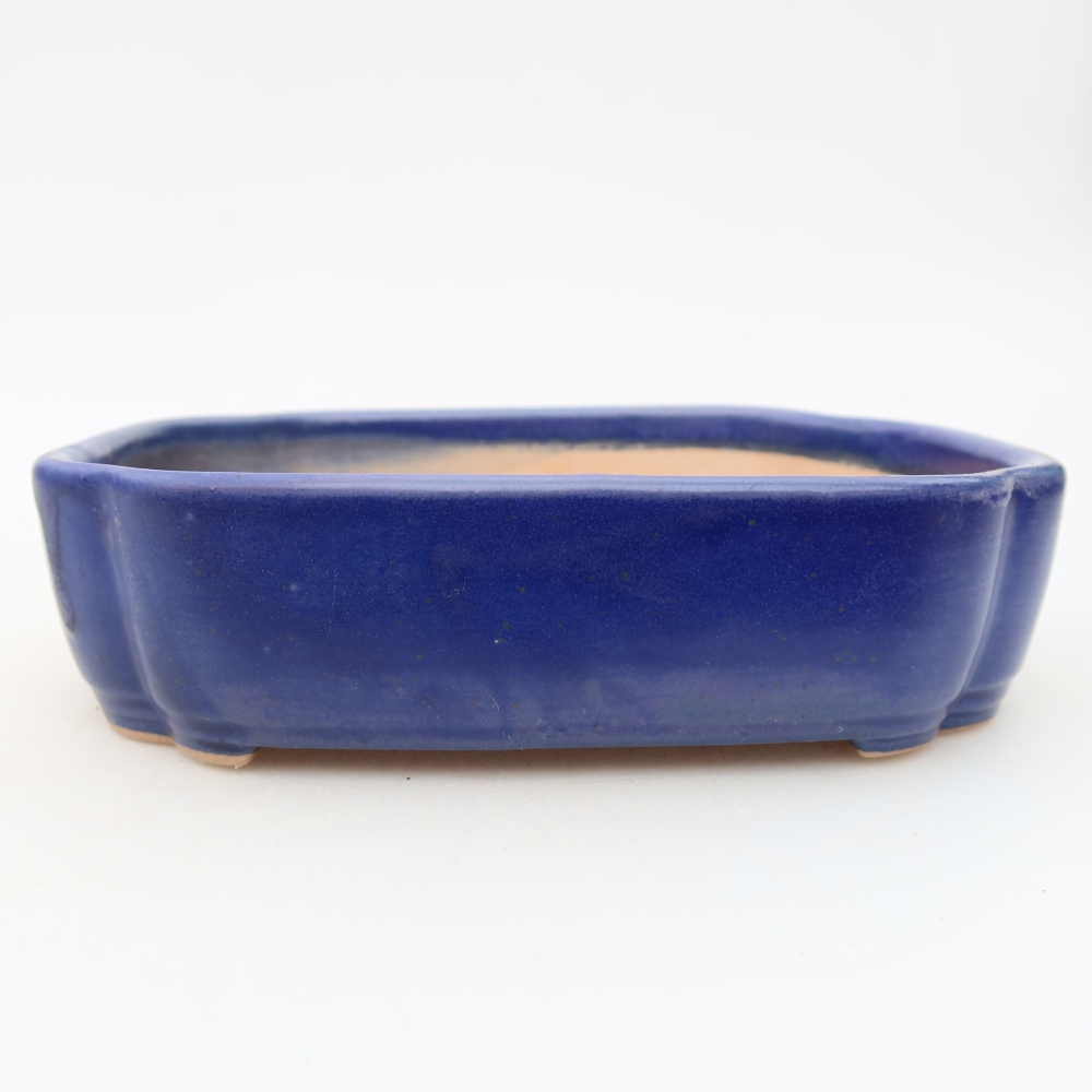 Ceramic bonsai bowl 16 x 11,5 x 4 cm, colour blue