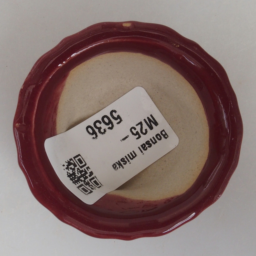 Mini bonsai bowl 5 x 5 x 2,5 cm, color burgundy