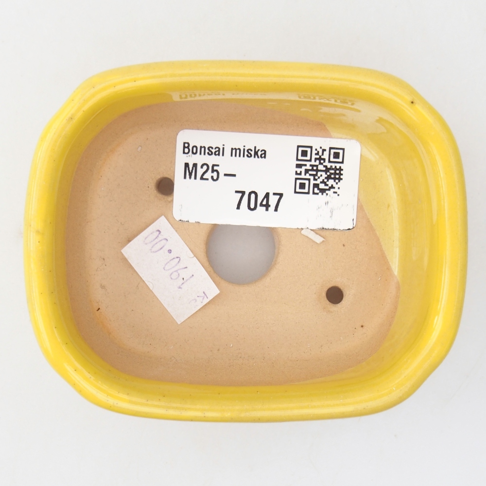 Ceramic bonsai bowl 8,5 x 7 x 3,5 cm, yellow
