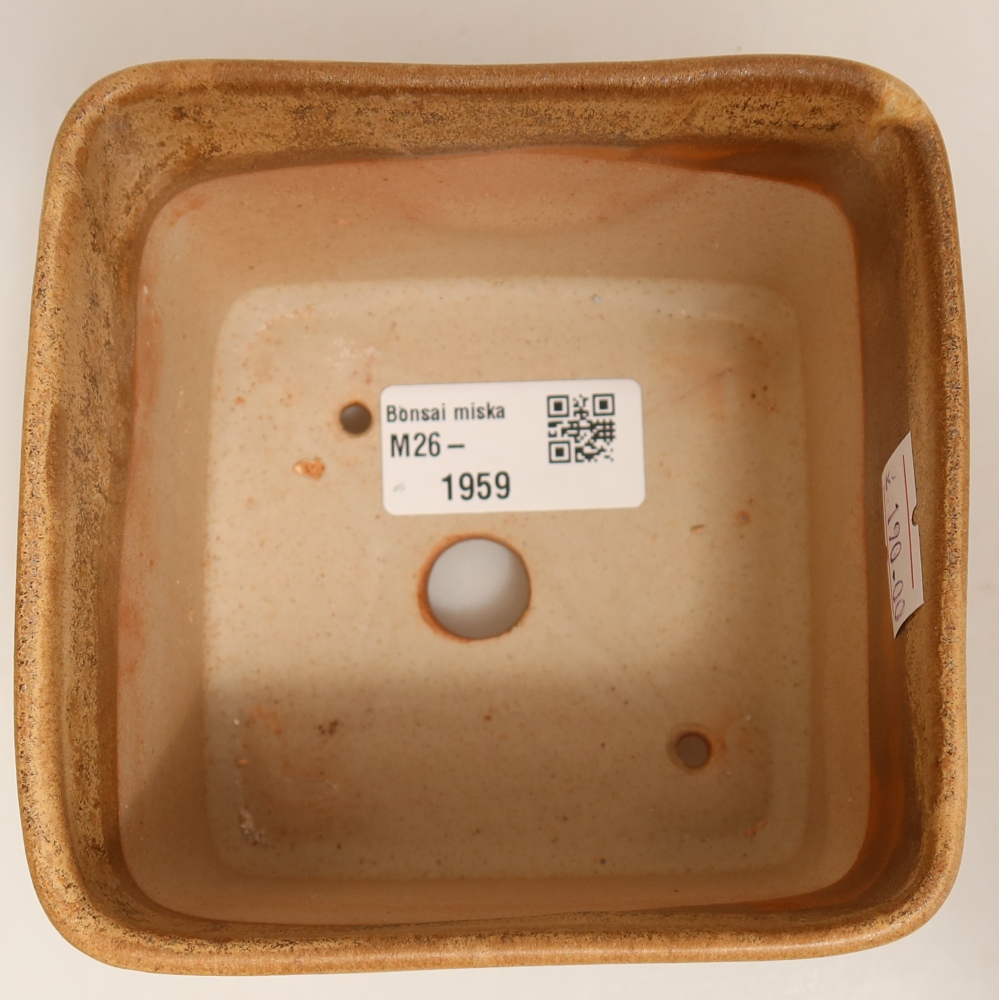 Ceramic bonsai pot, 10 x 10 x 8.5 cm, beige