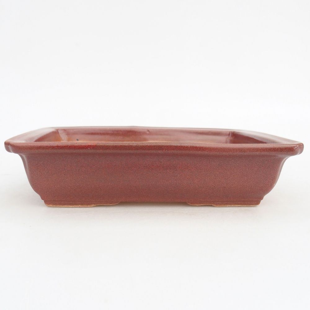 Ceramic bonsai bowl 18 x 13,5 x 4,5 cm, burgundy