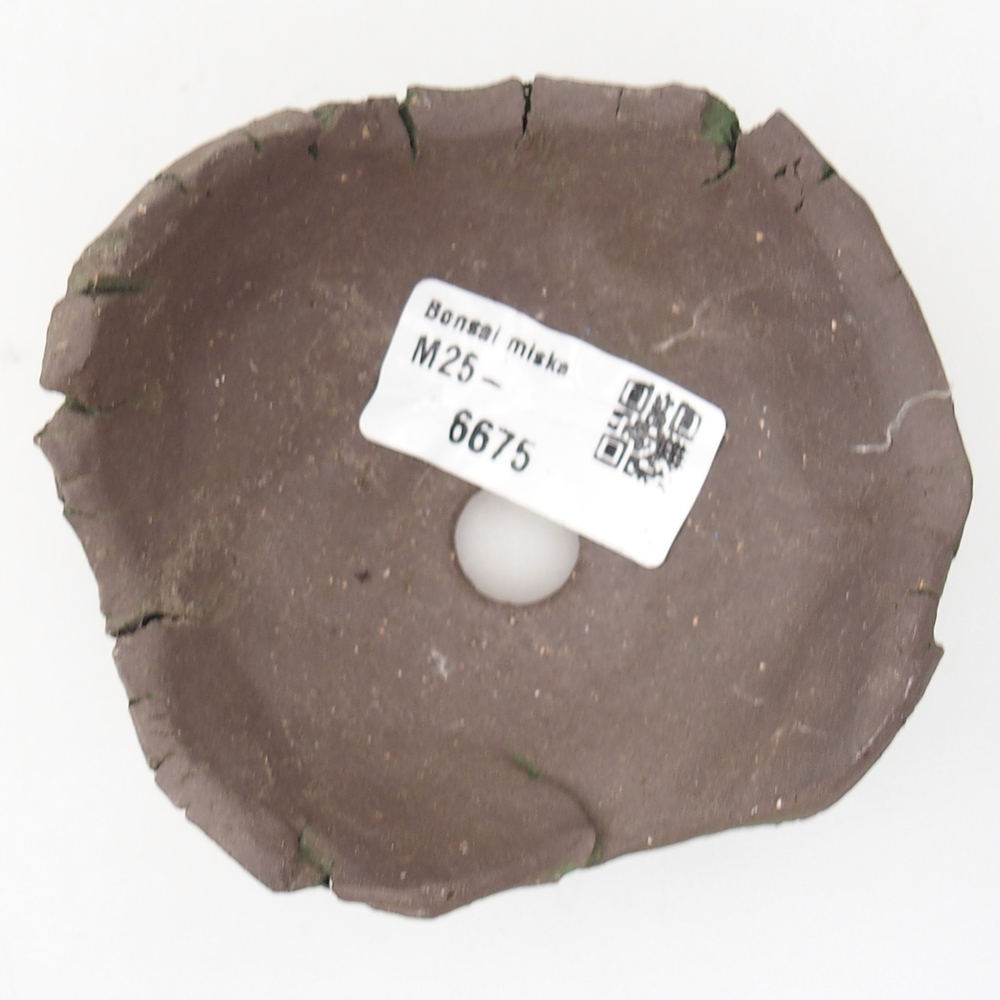 Ceramic Shell 9 x 9 x 5,5 cm , colour green