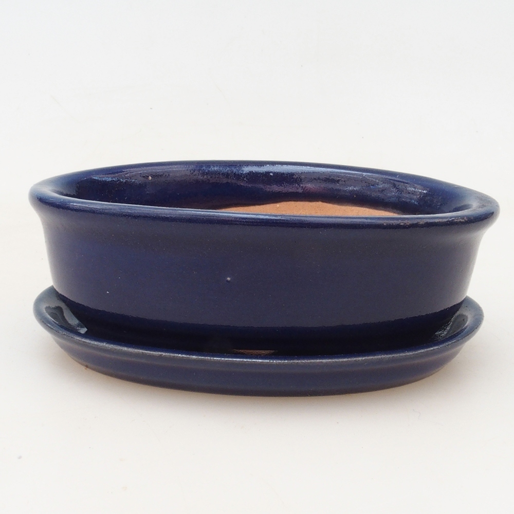 Bonsai bowl + saucer H04 - blue