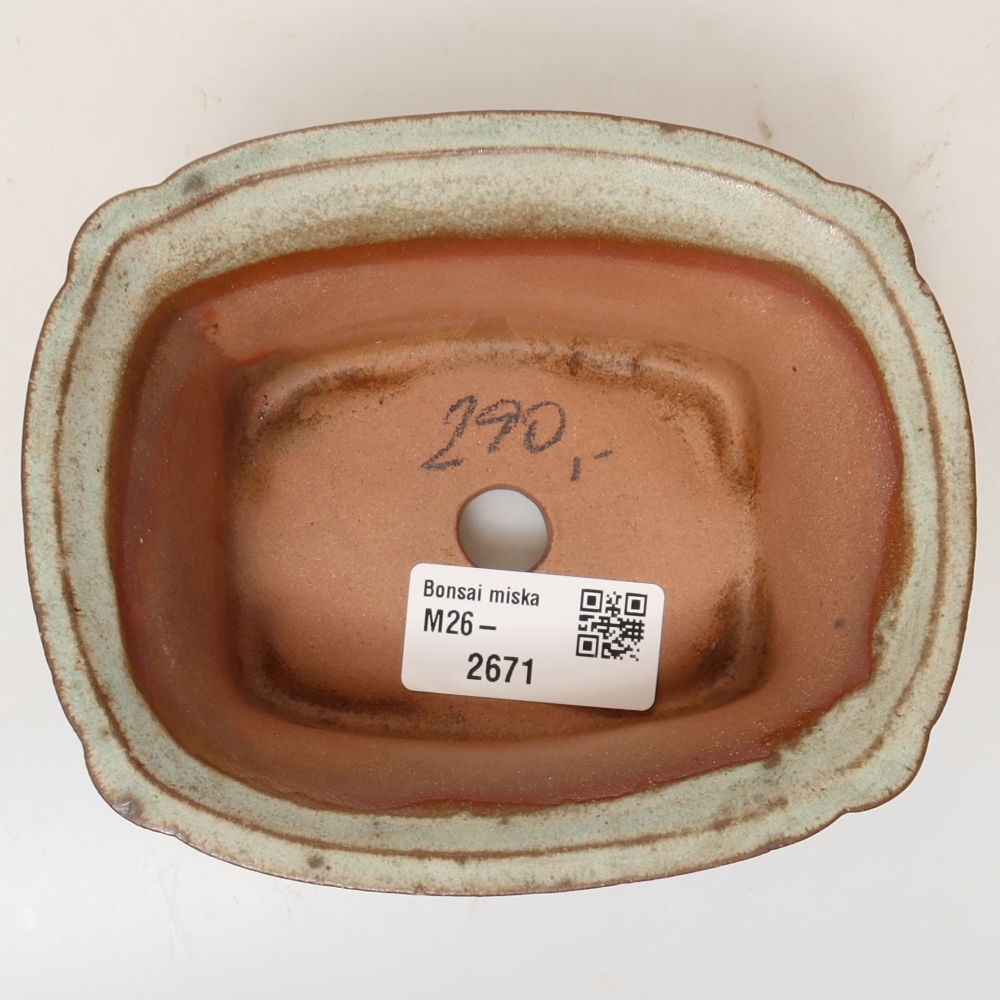 Ceramic Shell  13 x 10.5 x 5.5 cm, beige