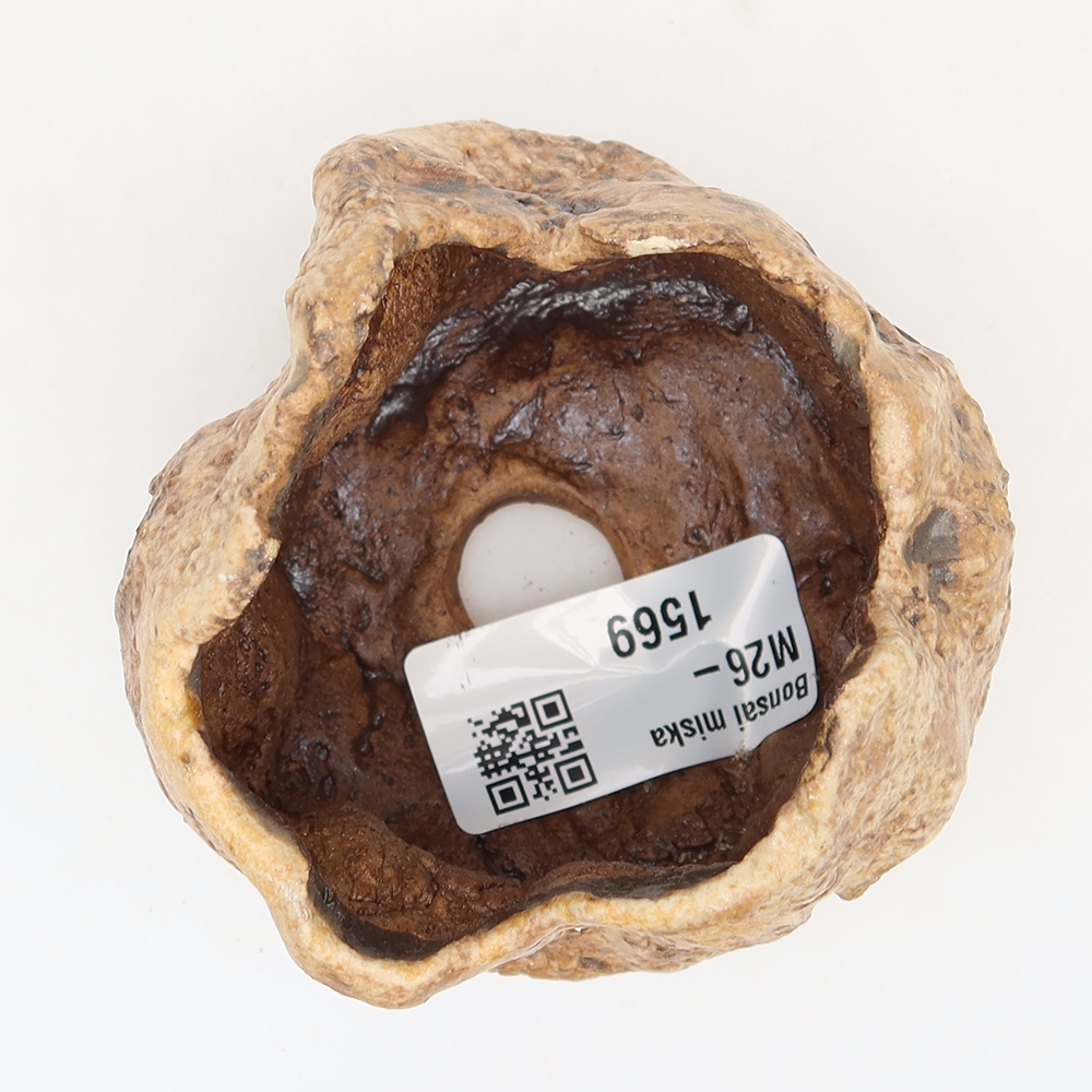 Ceramic Eggshell  6 x 5 x 6 cm, brown