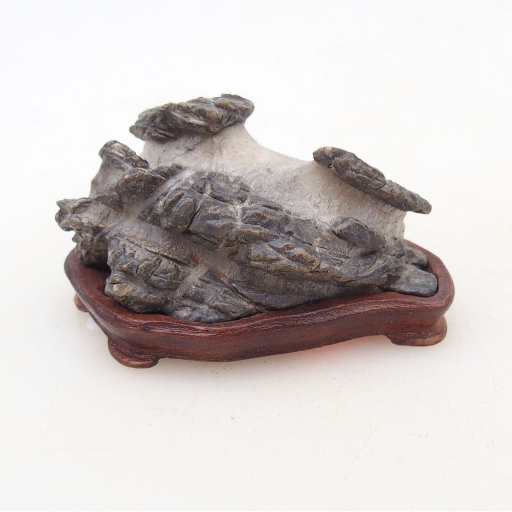 Suiseki - Stone with DAI (wooden pad)