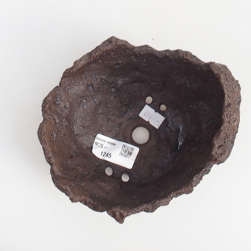 Ceramic shell 14 x 13 x 13 cm , colour brown