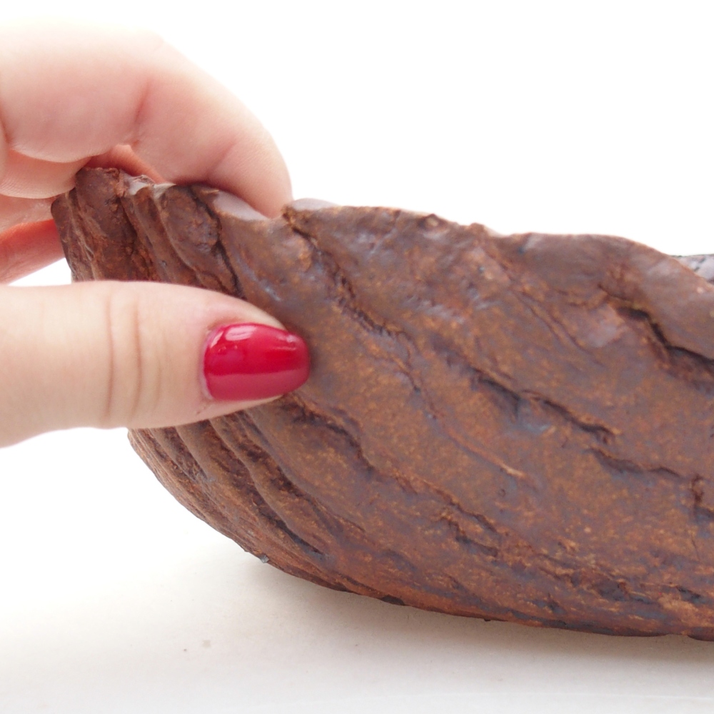 Ceramic Shell 23 x 23 x 7 cm , colour brown