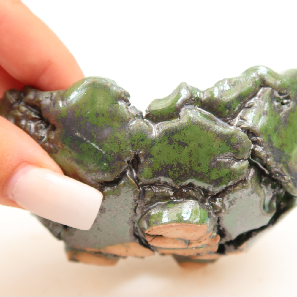 Ceramic Shell  10 x 8.5 x 5 cm, green