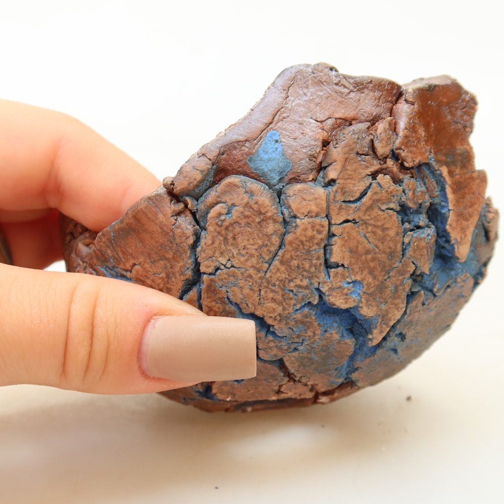 Ceramic Shell 9 x 9 x 5,5 cm , colour blue