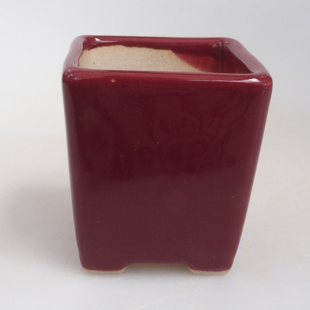 Mini bonsai bowl 4,5 x 4,5 x 4,5 cm, color burgundy