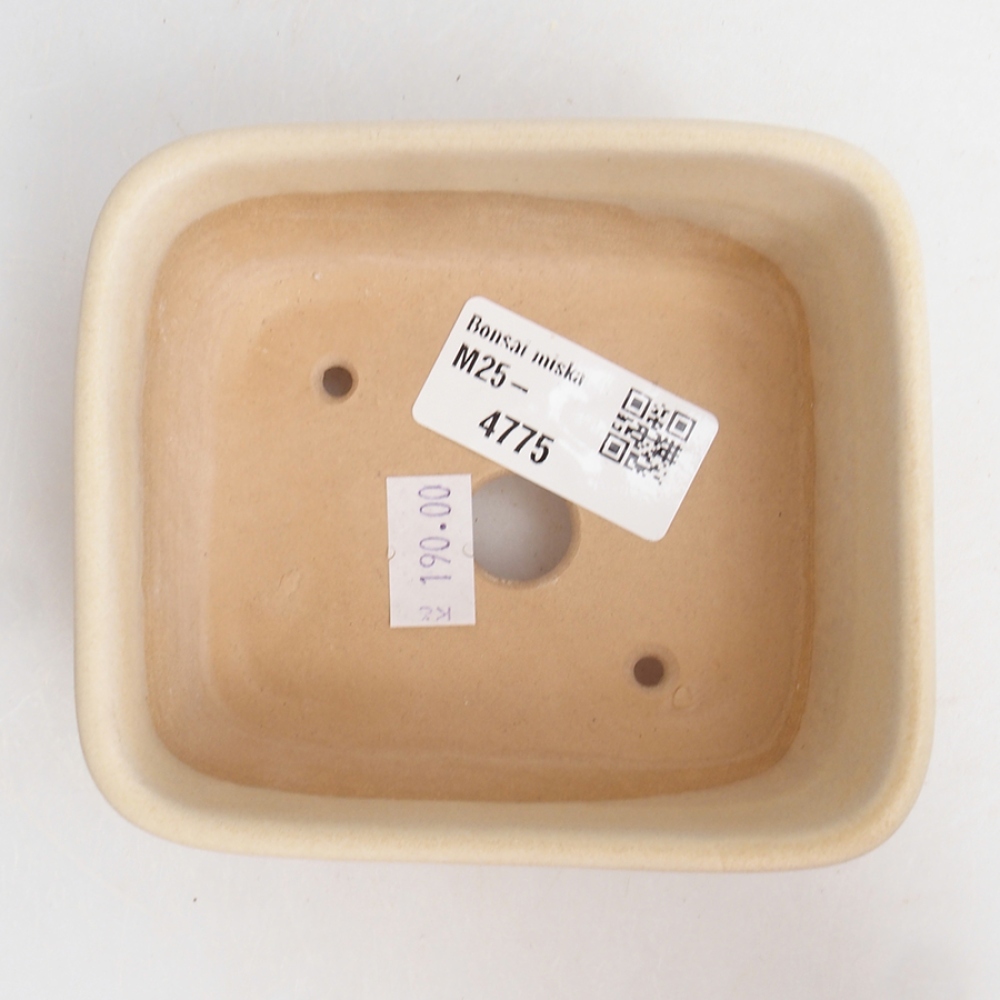 Ceramic bonsai bowl 10,5 x 9 x 4,5 cm, color beige
