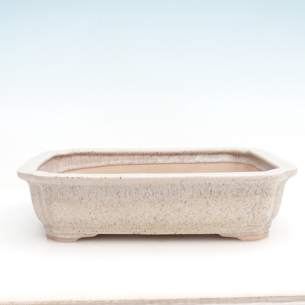 Bonsai bowl + saucer H20 - 26,5 x 21,5 x 6,5 cm. - beige