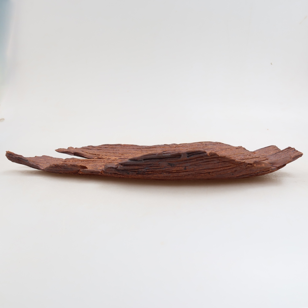 Ceramic Shell  30.5 x 18 x 3.5 cm, brown