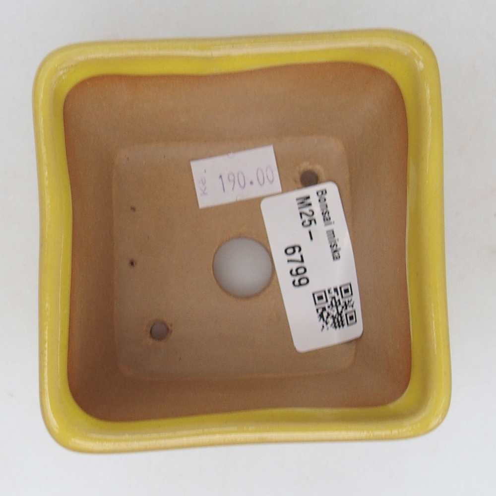Ceramic bonsai bowl 8,5 x 8,5 x 6 cm, yellow