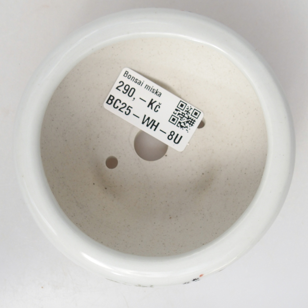 Ceramic bonsai bowl 10 x 10 x 5 cm, colour white