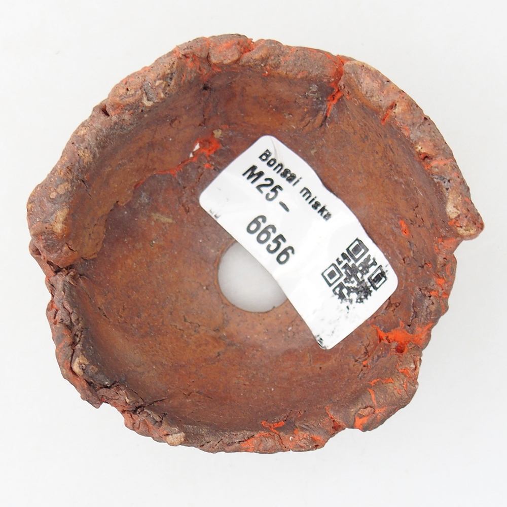 Ceramic Shell 7 x 7 x 3,5 cm , colour orange