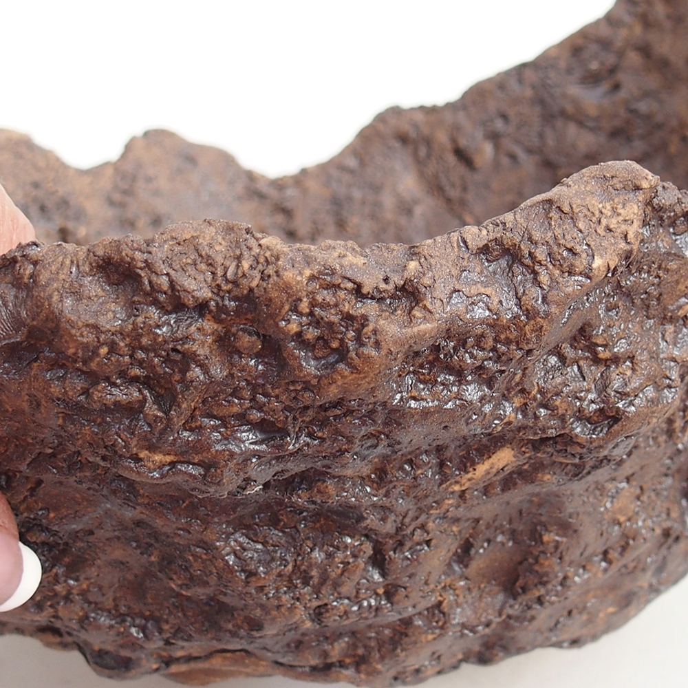 Ceramic shell 19 x 15 x 14 cm , colour brown